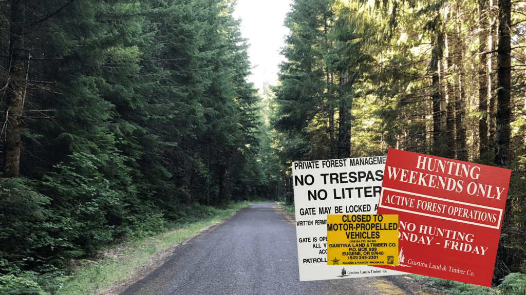 No Trespassing Signs in Forest