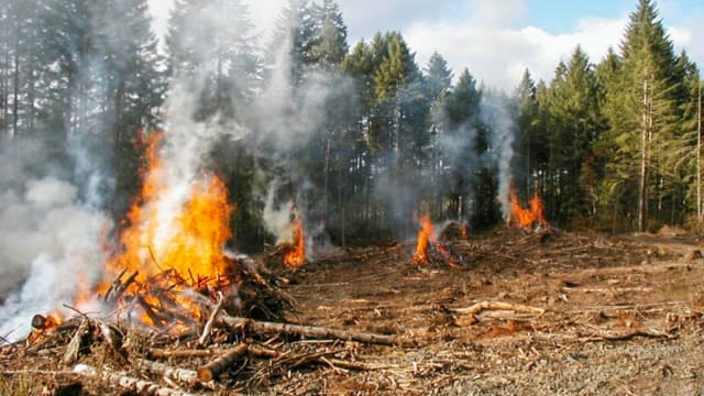 Smoke Management