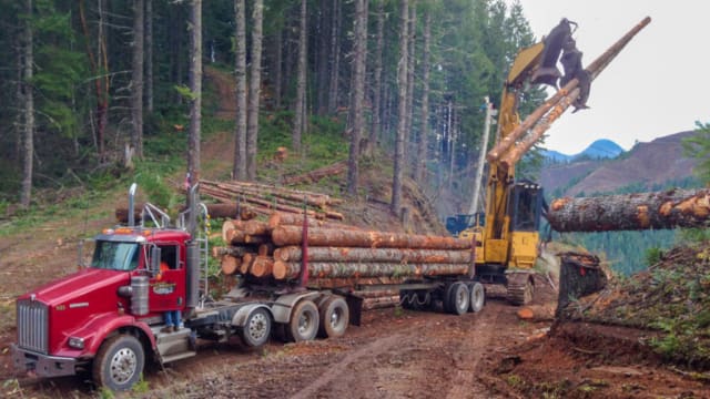 Timber Harvest Benefits