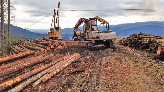 Forest Harvesting